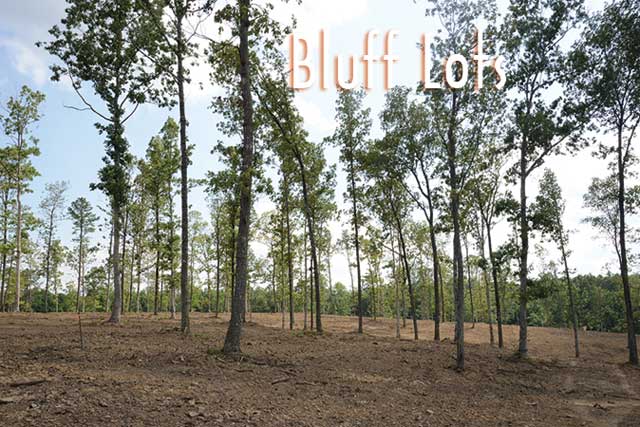 Bluff-Lots-b