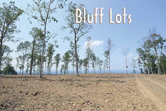 Bluff-Lots-d