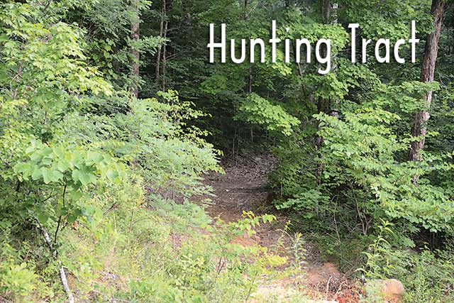 Hunting-Tract-a