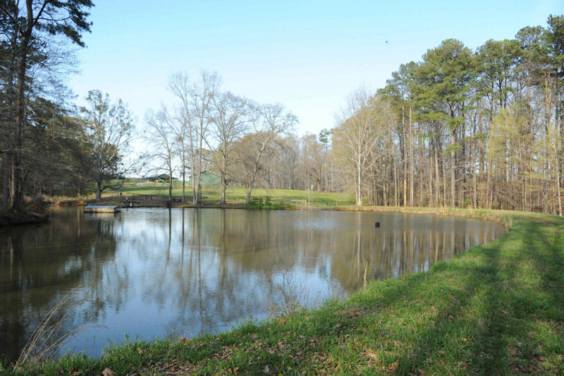 PJB_5942 View of Lake